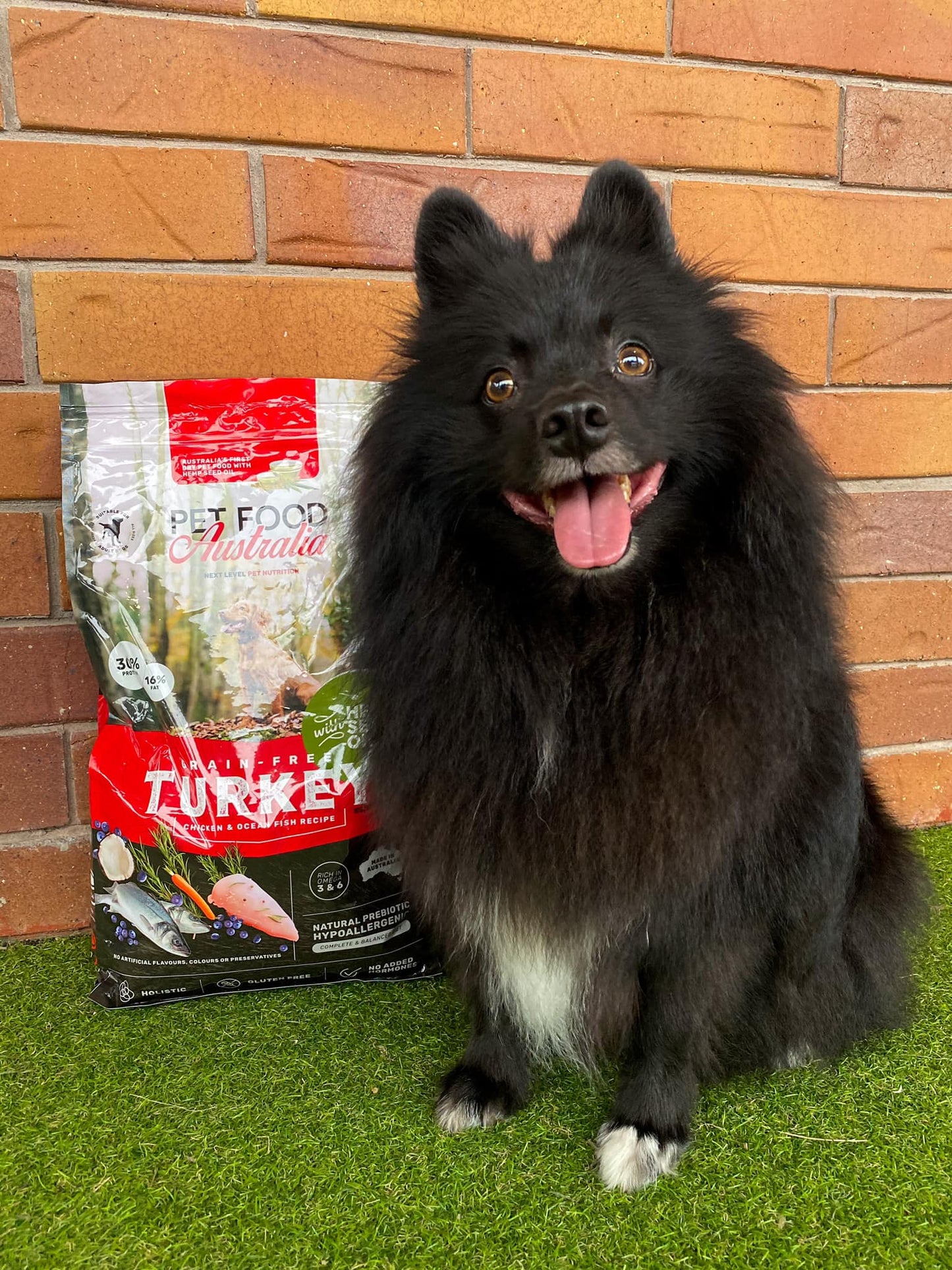 Turkey Dog Food-3