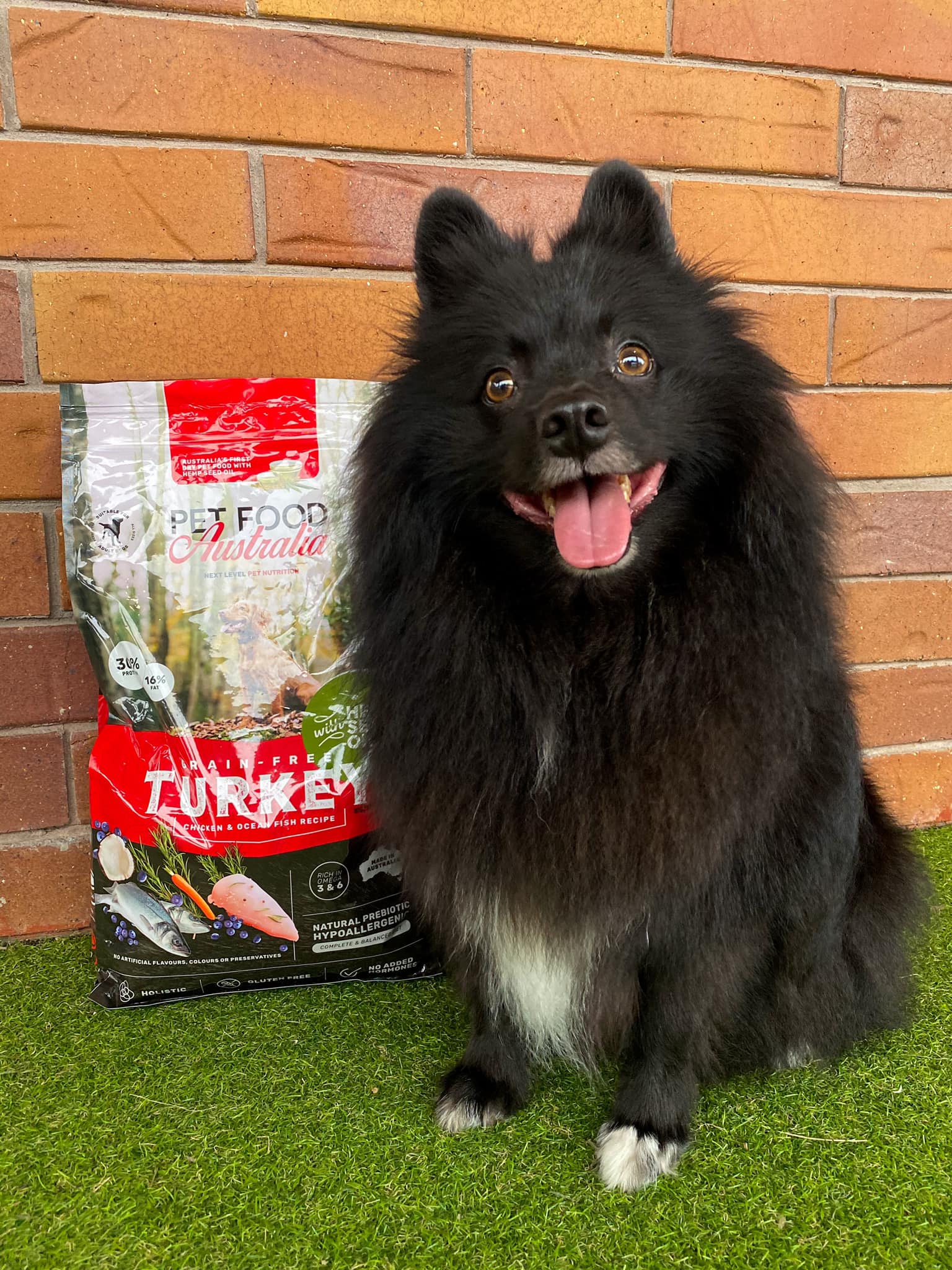 Turkey Dog Food-3