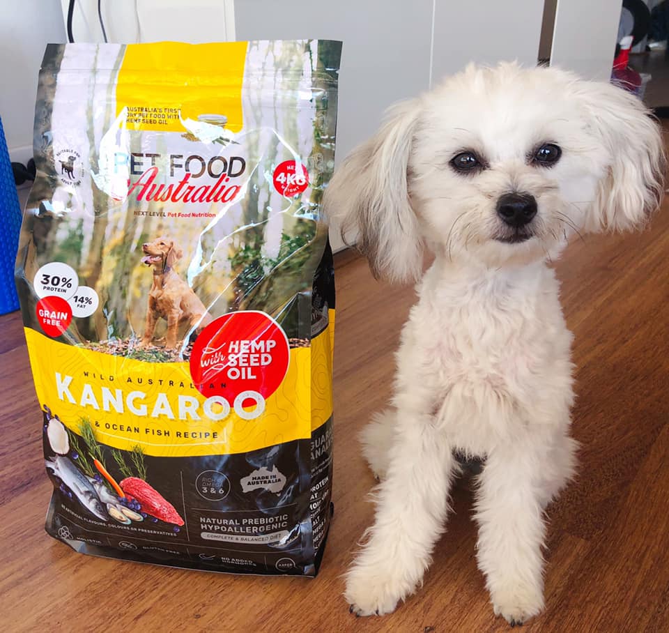 Kangaroo & Ocean Fish Dry Food-1