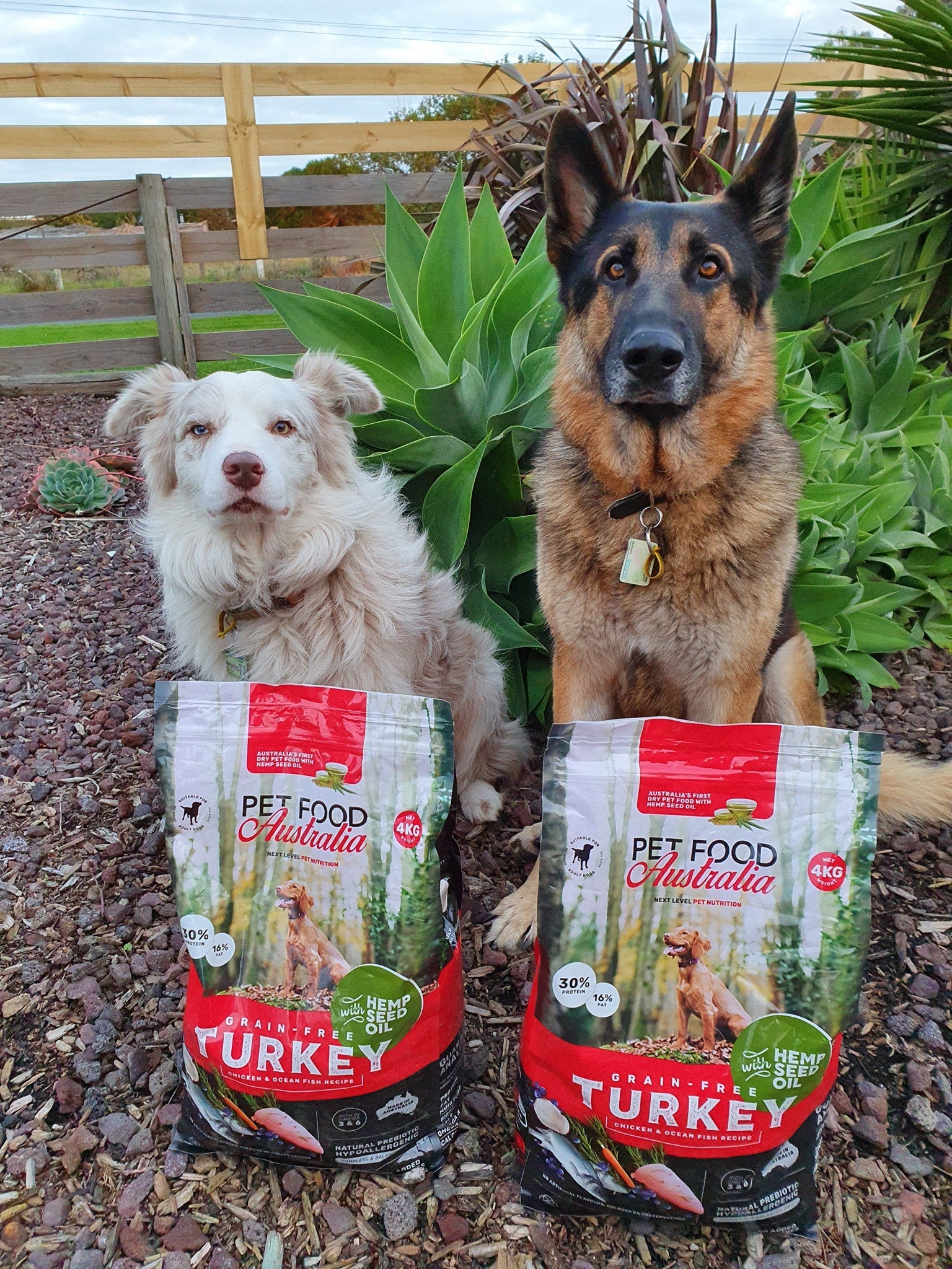 Turkey Dog Food-2