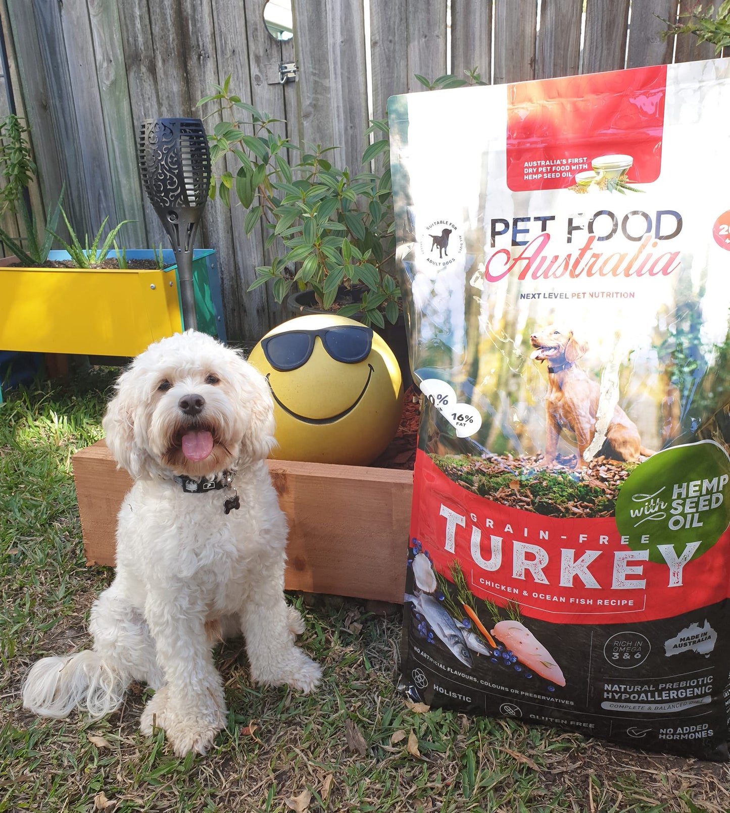 Turkey Dog Food-1