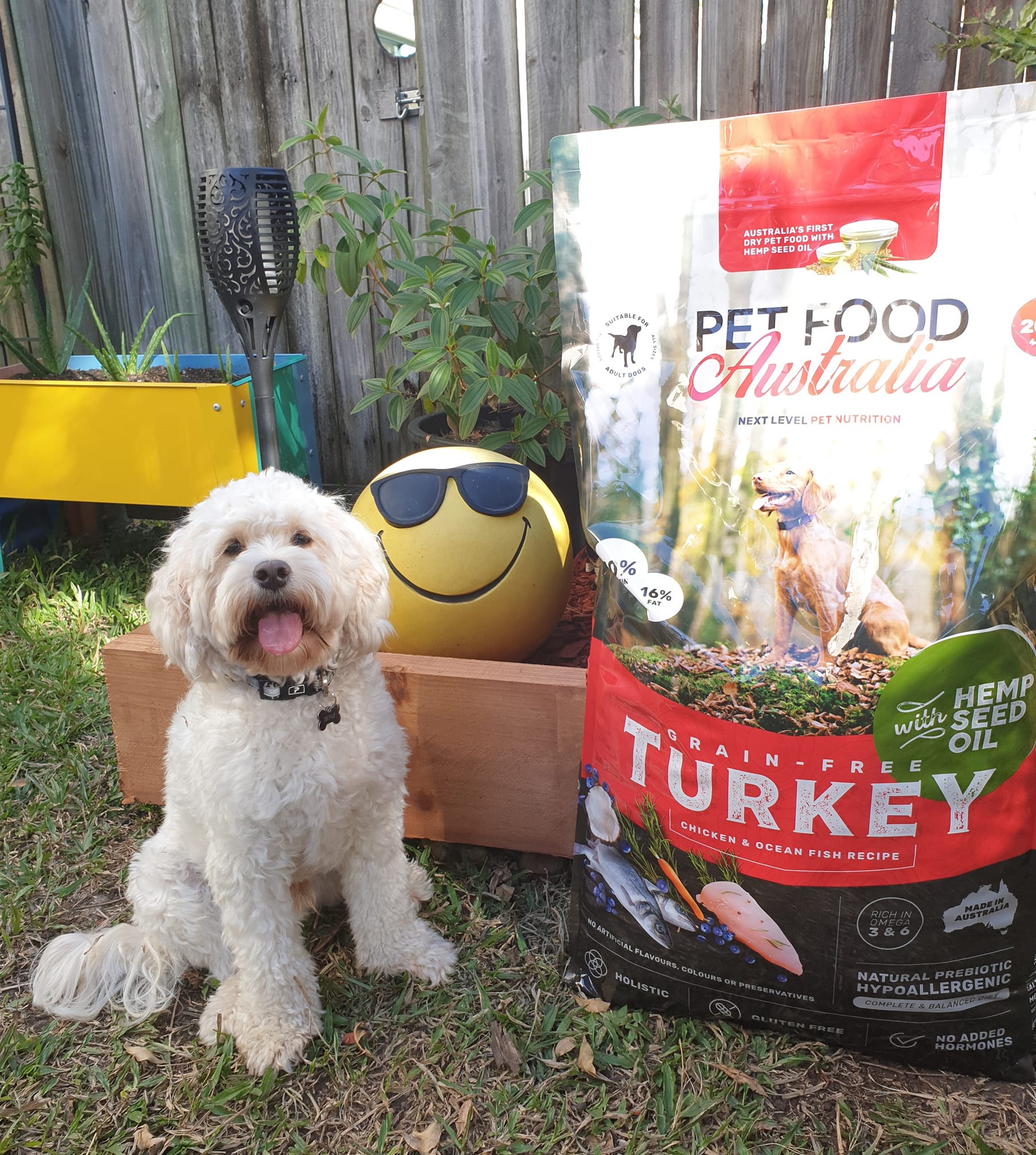 Turkey Dog Food-1