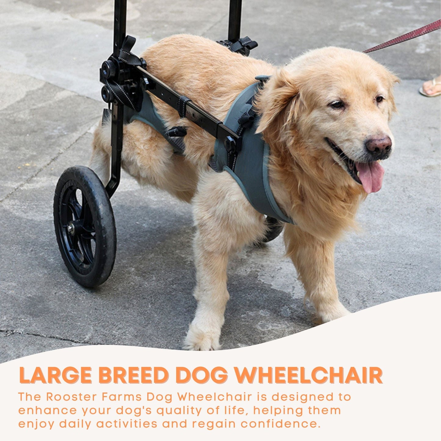 Rooster Farms Large Breed Dog Wheelchair - Adjustable Back Hind Leg Mobility Aid-4