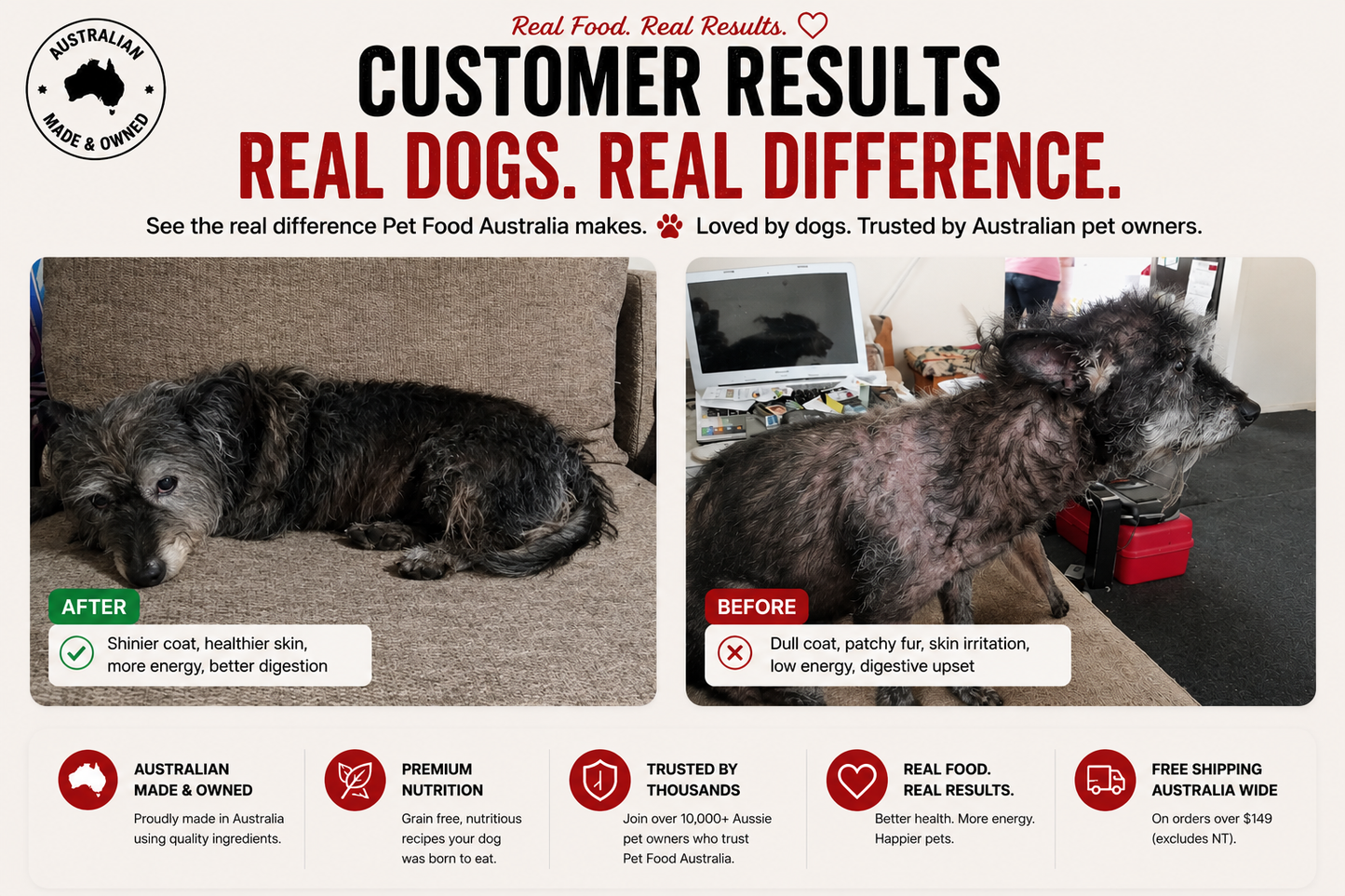 Insect Protein Dog Food-4