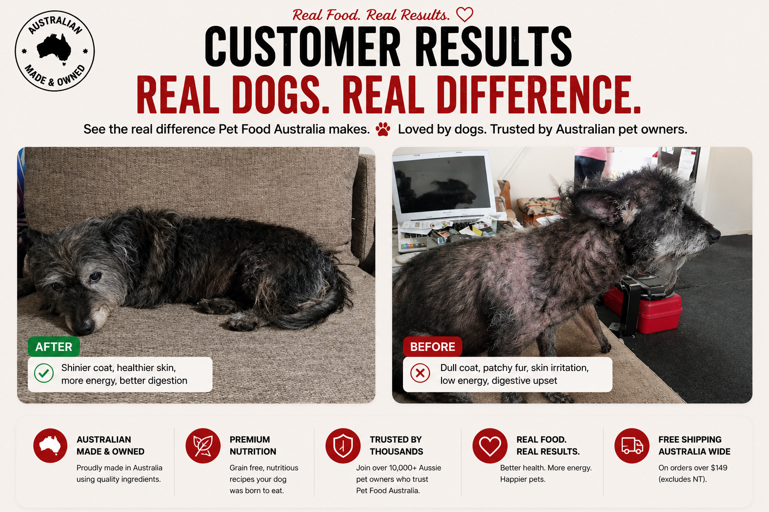 Insect Protein Dog Food-4