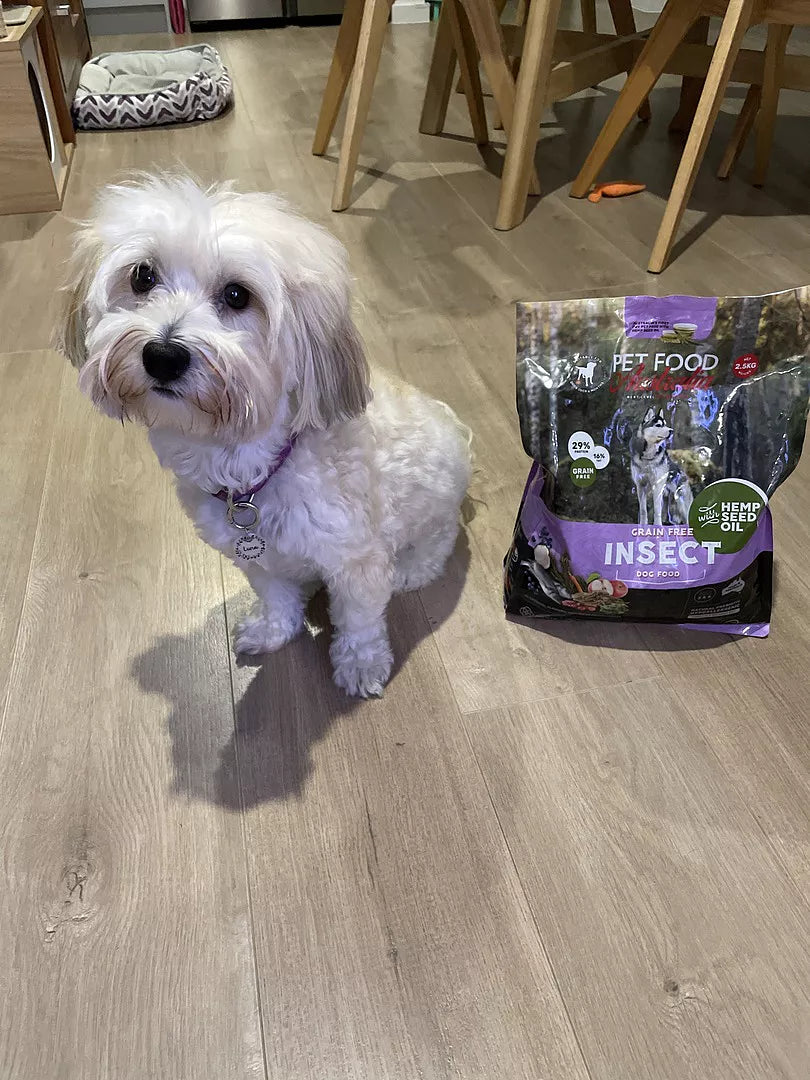 Insect Protein Dog Food-3
