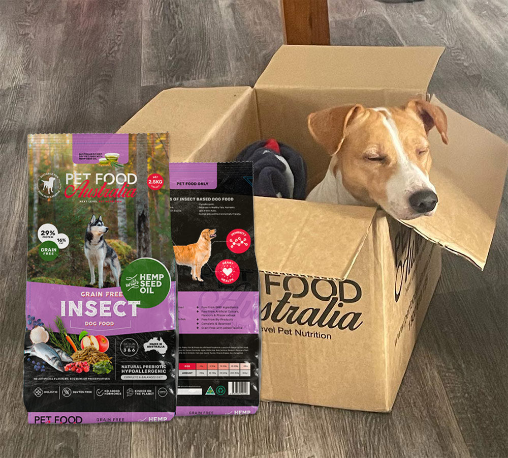 Insect Protein Dog Food-1